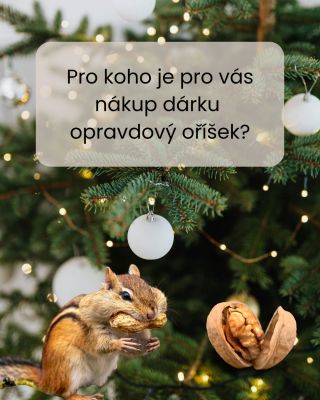 Pro koho je pro vás nákup dárku opravdovým oříškem? 🎁🤔 Je 9. listopadu a Vánoce se nezadržitelně blíží! A já už teď...